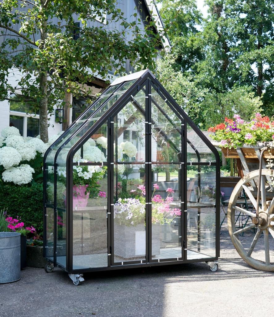 Kweekkas, Greenhouse, Tuinkas, Oude kas, Plantenkas, Ophalen of Verzenden