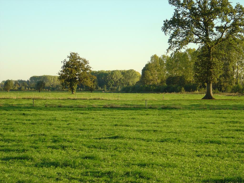 2 tot 12 persoons vakantiewoningen, Vakantie, Vakantiehuizen | Nederland, 12 personen, 4 of meer slaapkamers, Landelijk, Gelderland en Veluwe