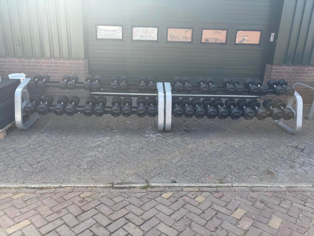 Lifemaxx dumbbellset 1-50 kg - ZIE OMSCHRIJVING VOOR SPECS, Sport en Fitness, Fitnessmaterialen, Zo goed als nieuw, Dumbbell, Ophalen of Verzenden