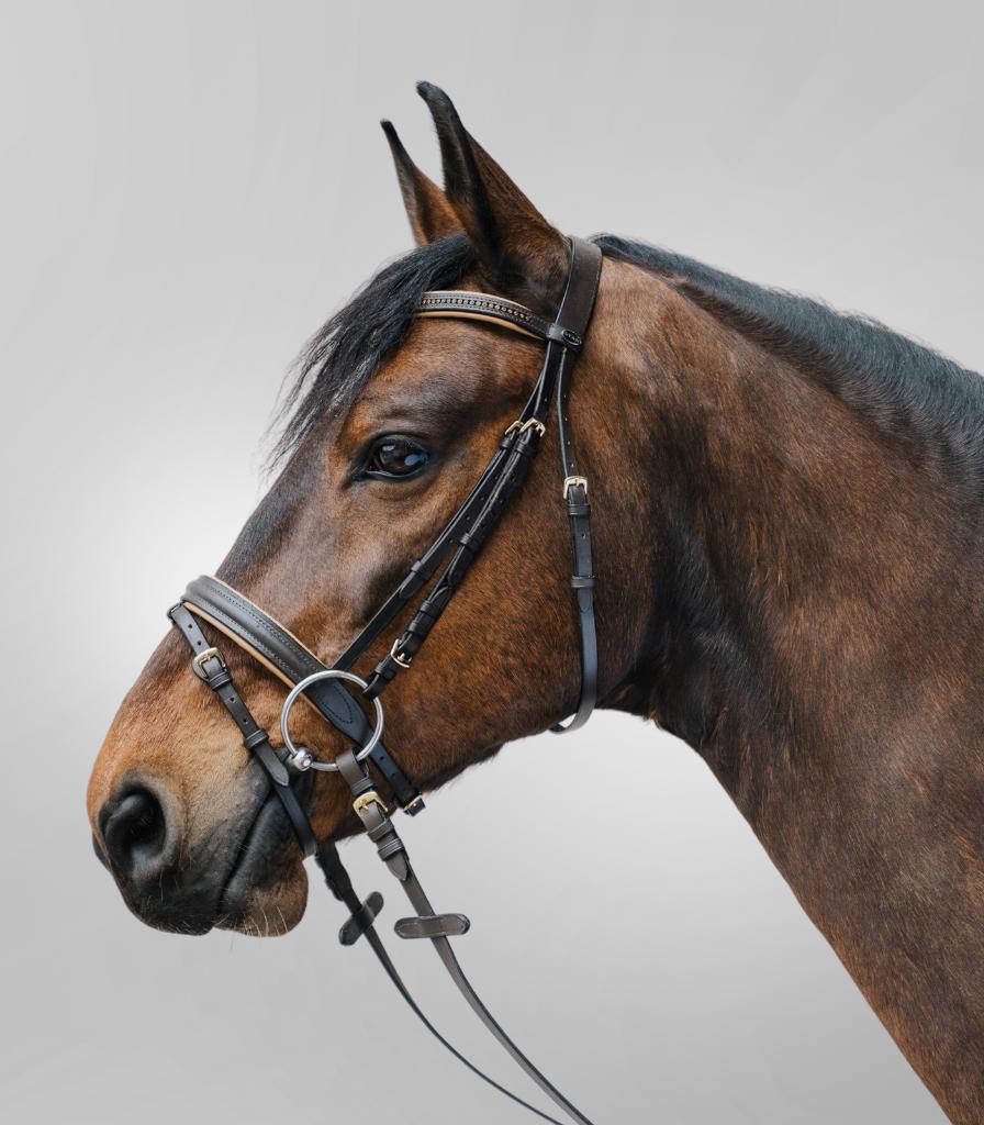 Star Diamond hoofdstel Bruin/Goud maat Mini Shetlander, Dieren en Toebehoren, Paarden en Pony's | Hoofdstellen en Tuigage, ., Ophalen of Verzenden