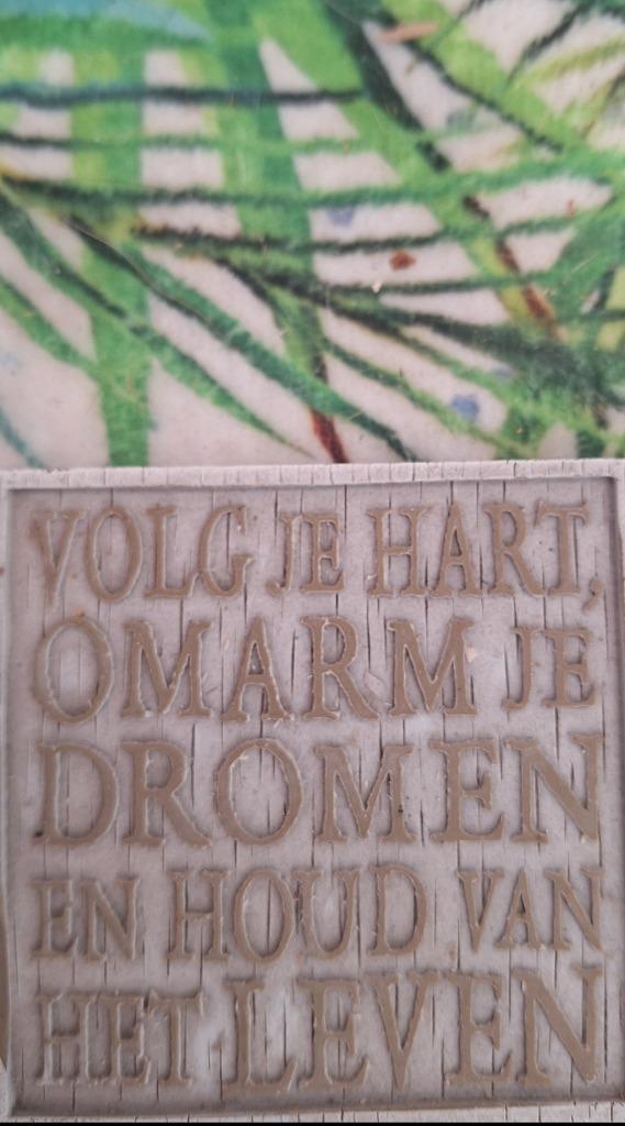 Paardencoaching, Diensten en Vakmensen, Persoonlijke ontwikkeling