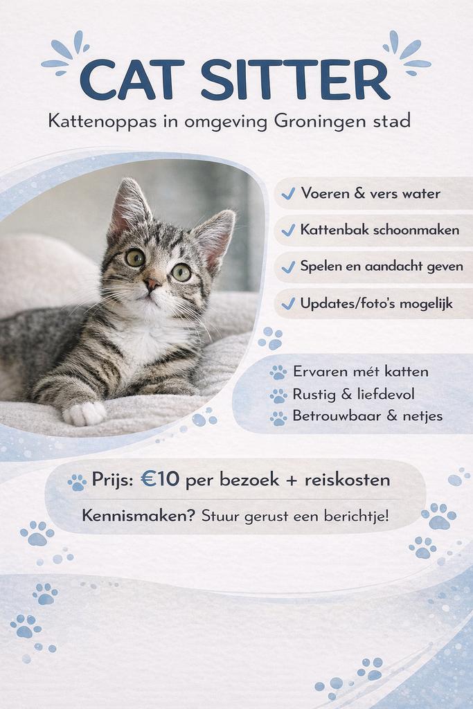 Katten oppas omgeving Groningen stad, Ophalen of Verzenden, Zo goed als nieuw