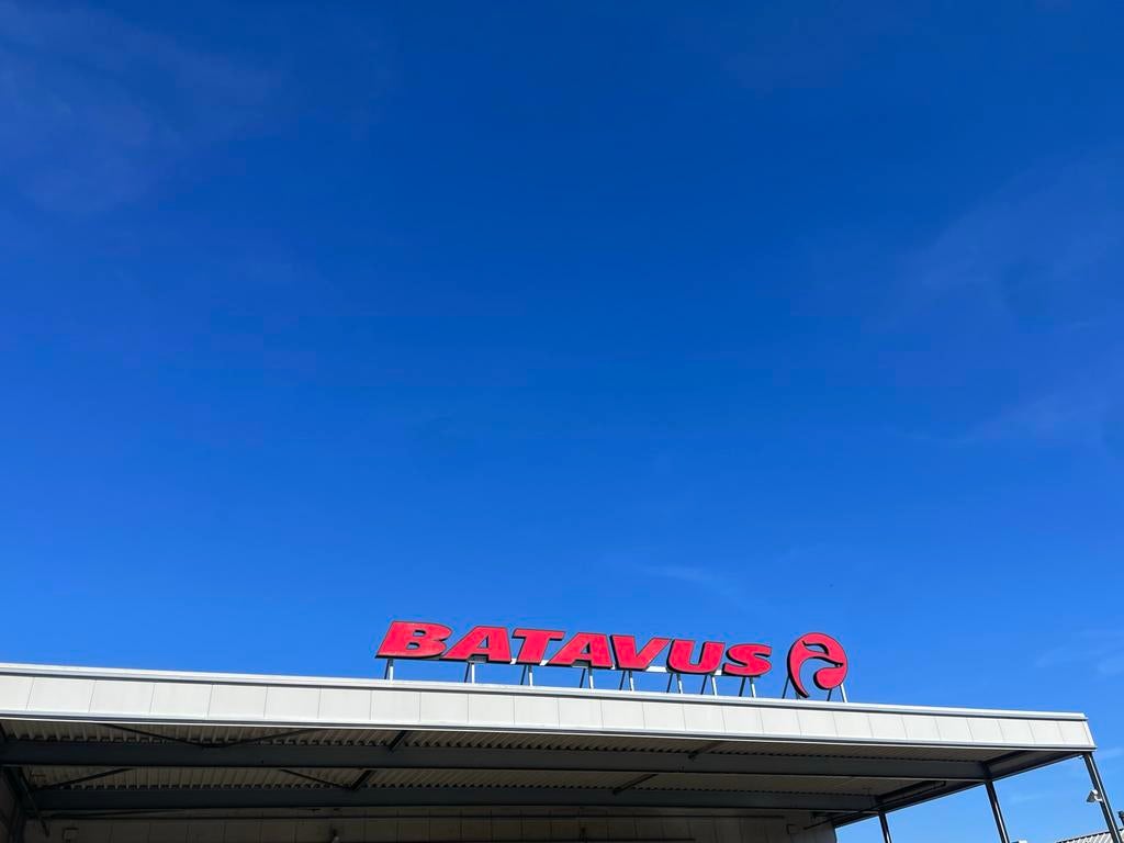 Batavus letters, Antiek en Kunst, Ophalen