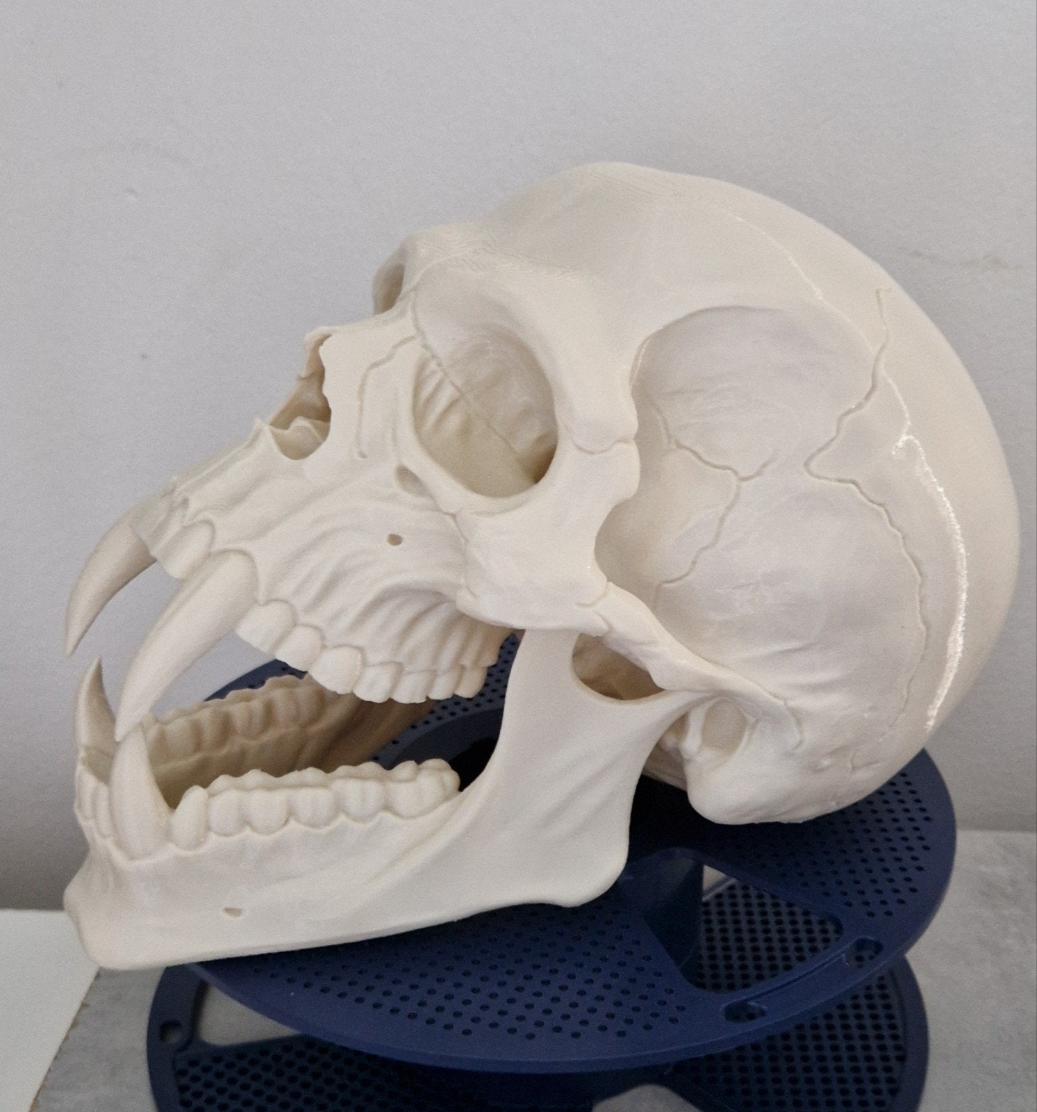 3D Geprinte Vampieren Schedel, Verzenden, Nieuw, Fantasy