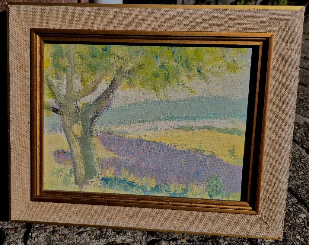 Groningen Ploeg? ~1960 landschap met paars rivier, Paneel, Expressionistisch, Ophalen of Verzenden, Landschap