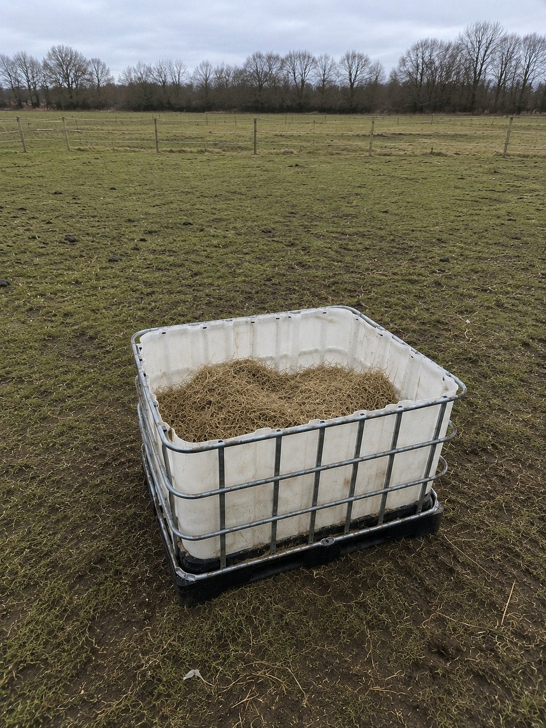 diverse IBC-containers - Slowfeeder ZGAN, Ophalen of Verzenden, Vee
