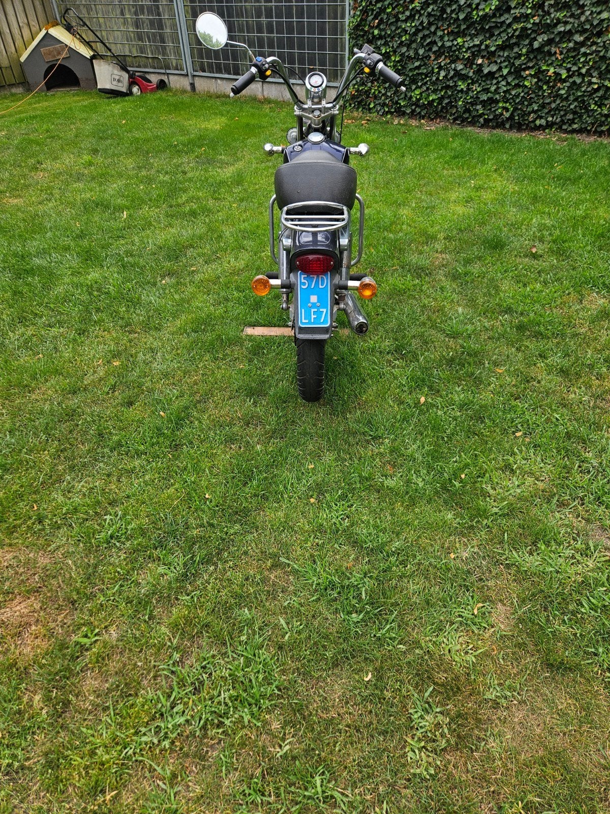 Tomos revival blauw, Ophalen, Gebruikt, Revival, Maximaal 25 km/u