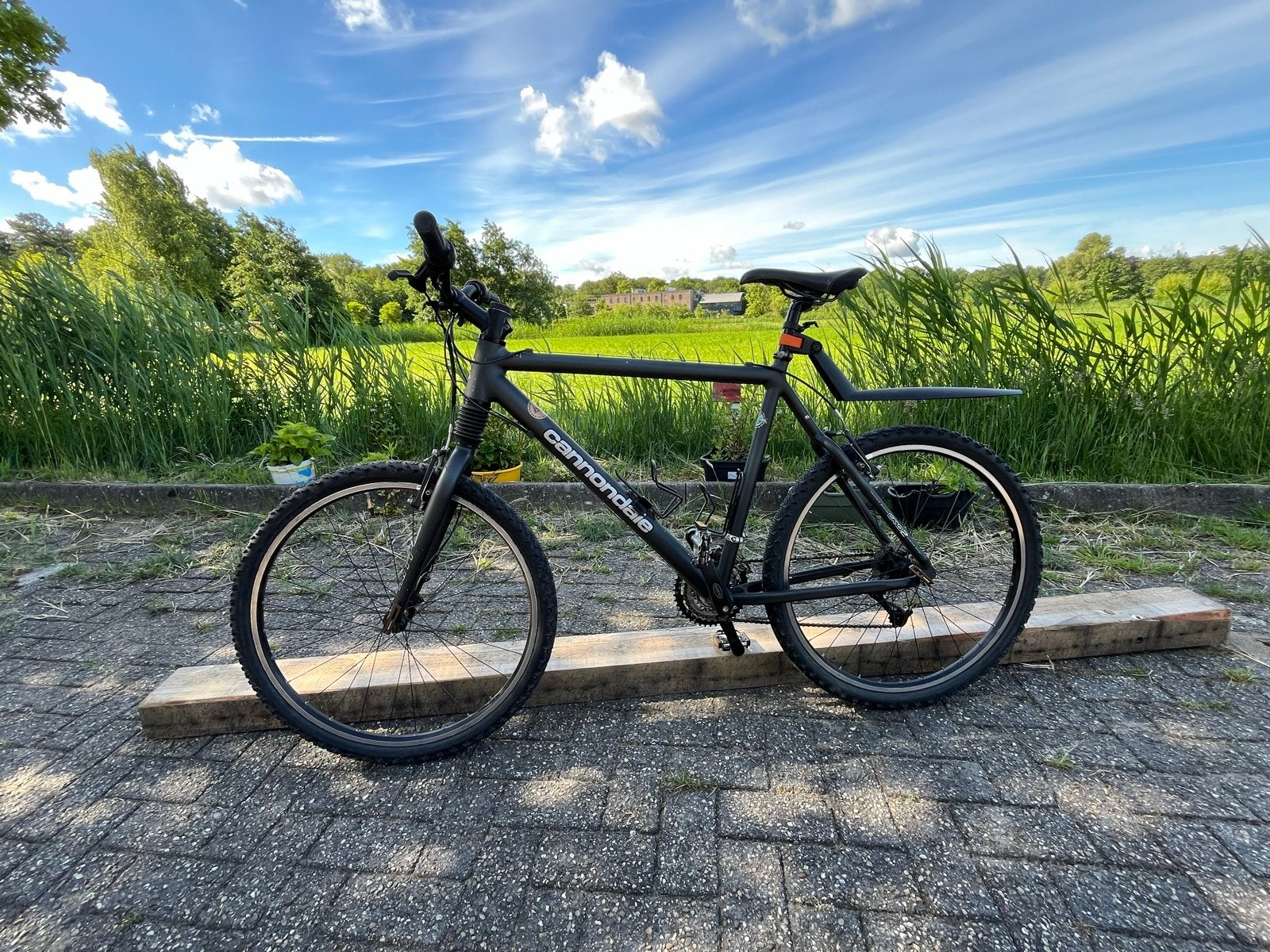 Cannondale Mountainbike - Topconditie, Hardtail, Heren, Zo goed als nieuw, 53 tot 57 cm