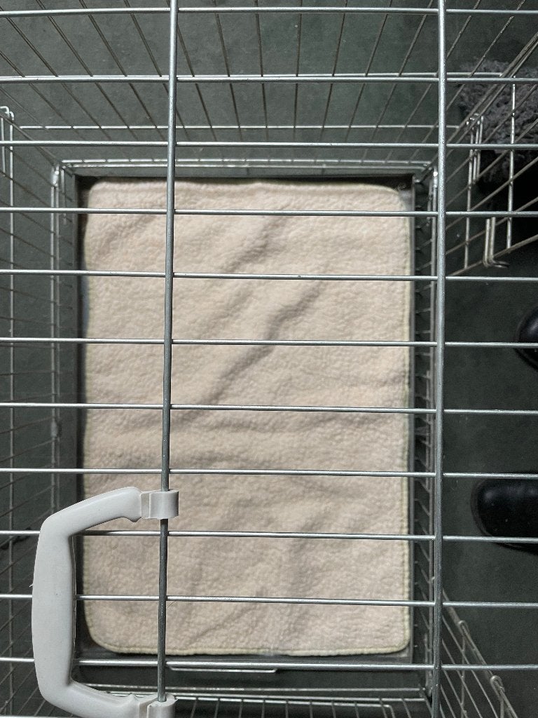 Bench voor middelgrote hond (inklapbaar), Ophalen, Gebruikt