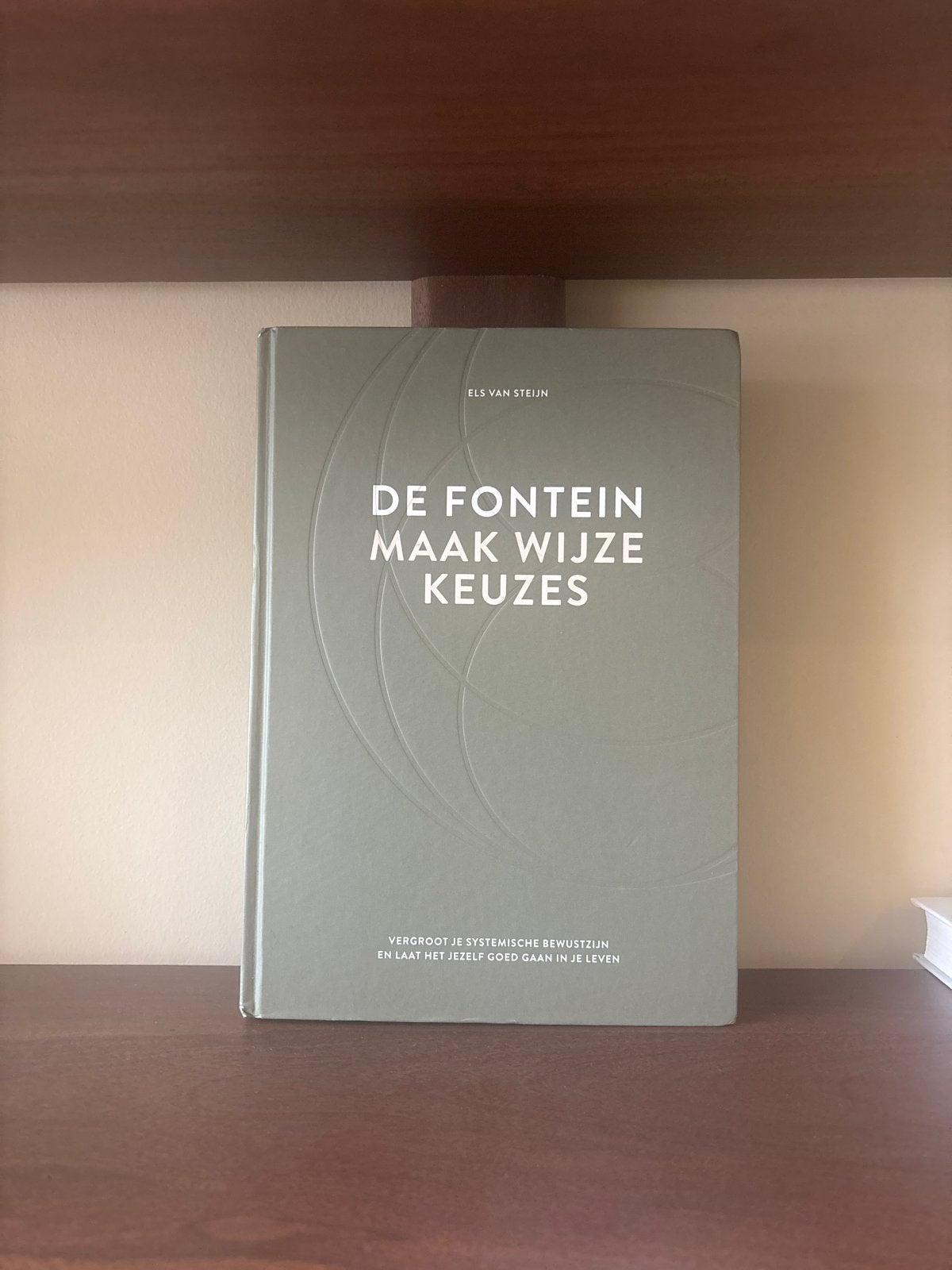 De Fontein: Maak Wijze Keuzes - Els van Steijn, Boeken, Ophalen of Verzenden, Zo goed als nieuw