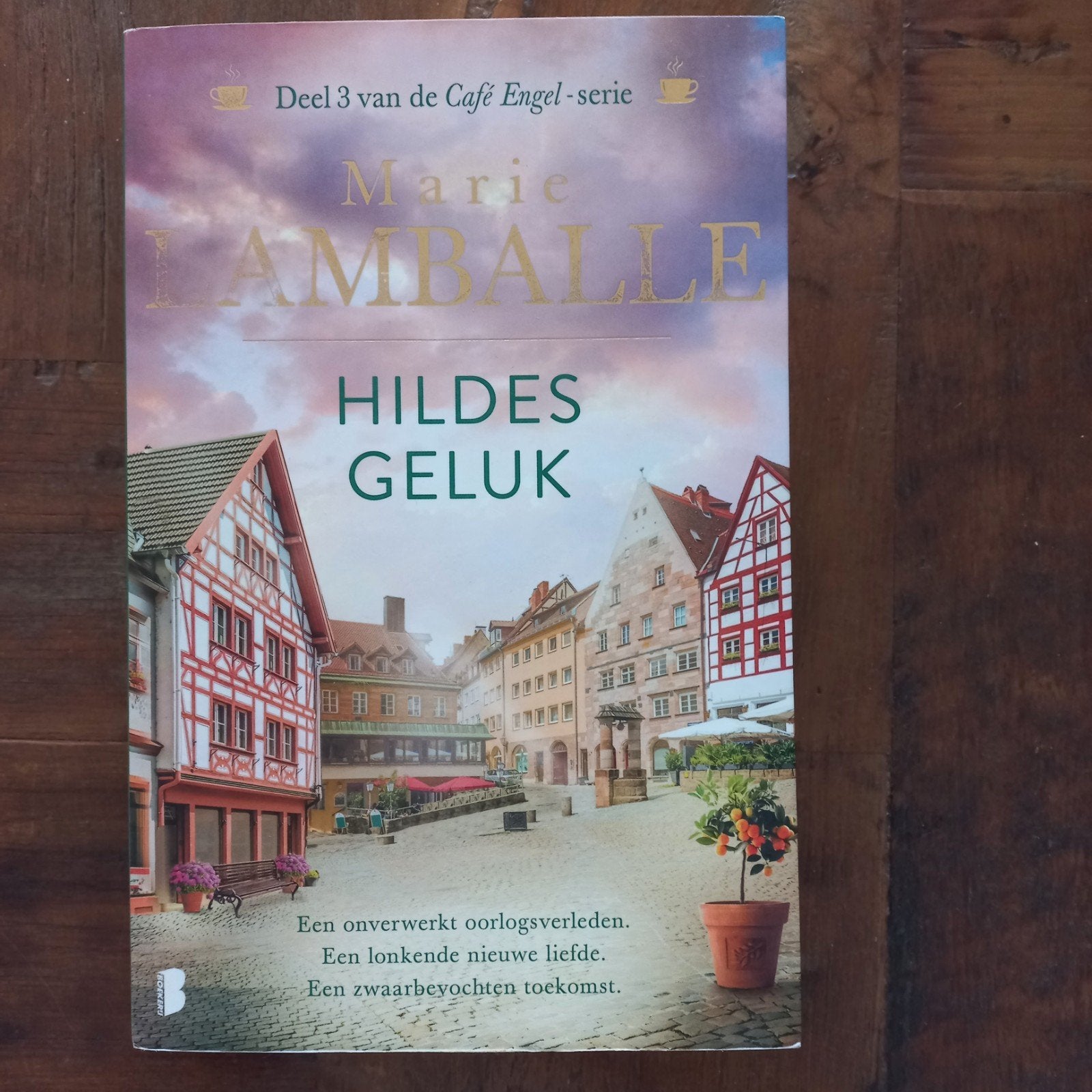 Marie Lamballe - Hildes geluk, Ophalen of Verzenden, Zo goed als nieuw, Marie Lamballe