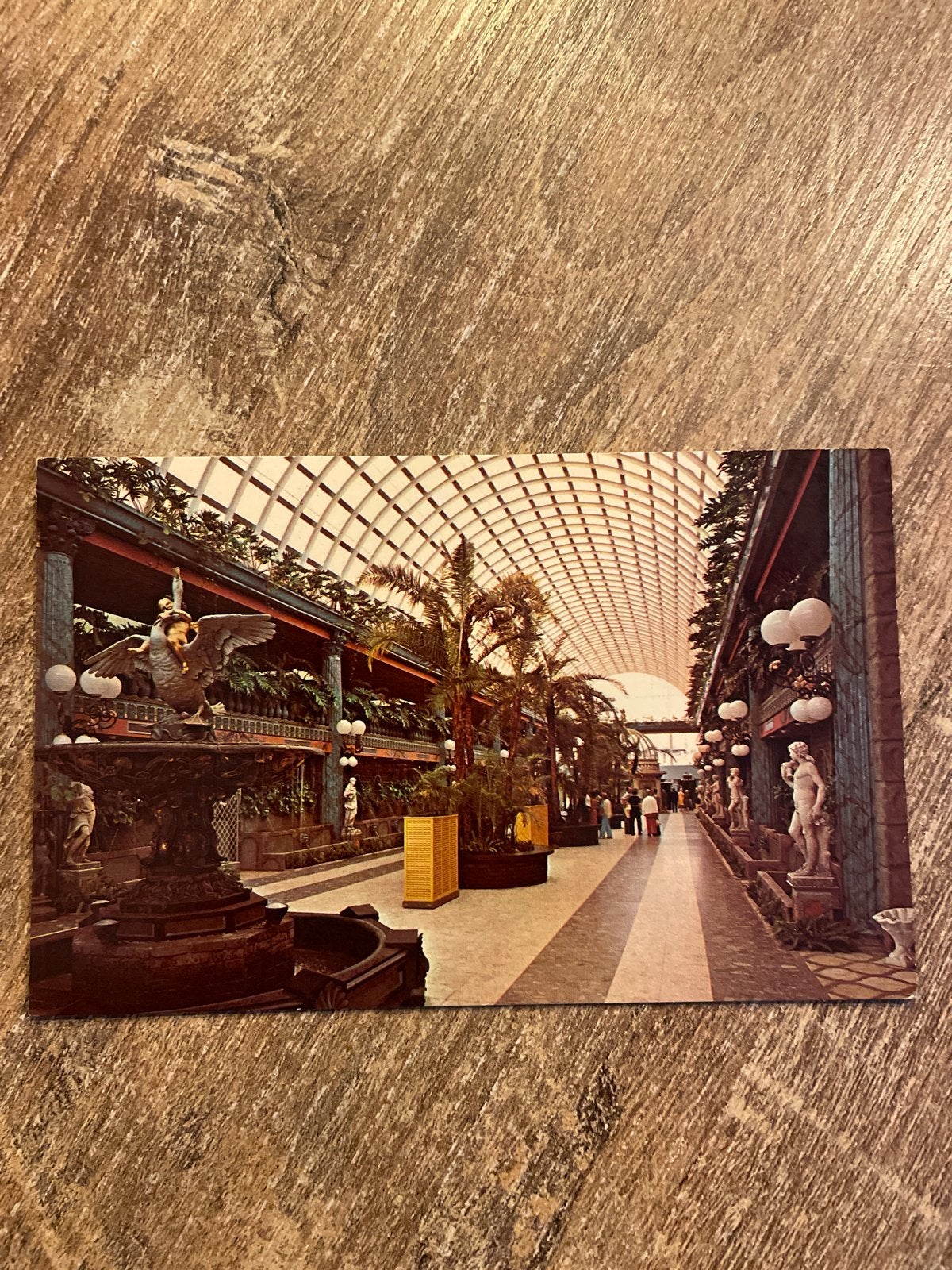 Vintage Ansichtkaart Kapok Tree Inn Mall, Florida, Ophalen of Verzenden, 1960 tot 1980, Ongelopen, Buiten Europa