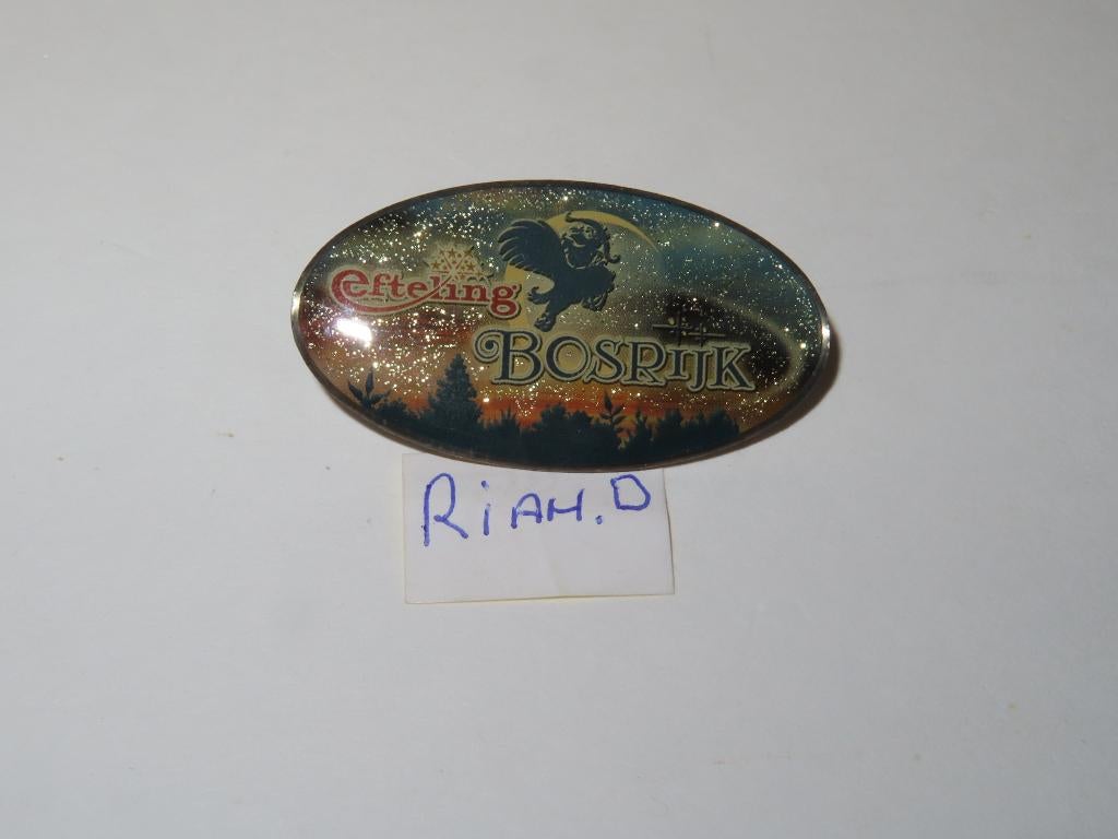 Efteling pin Bosrijk., Verzamelen, Efteling, Zo goed als nieuw, Button of Speldje, Ophalen