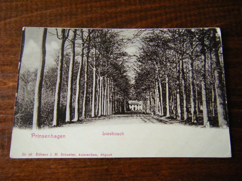 Q38 - Breda / Princenhage - Liesbosch - Mooi/ZEER Oud, Ophalen of Verzenden, Voor 1920, Noord-Brabant