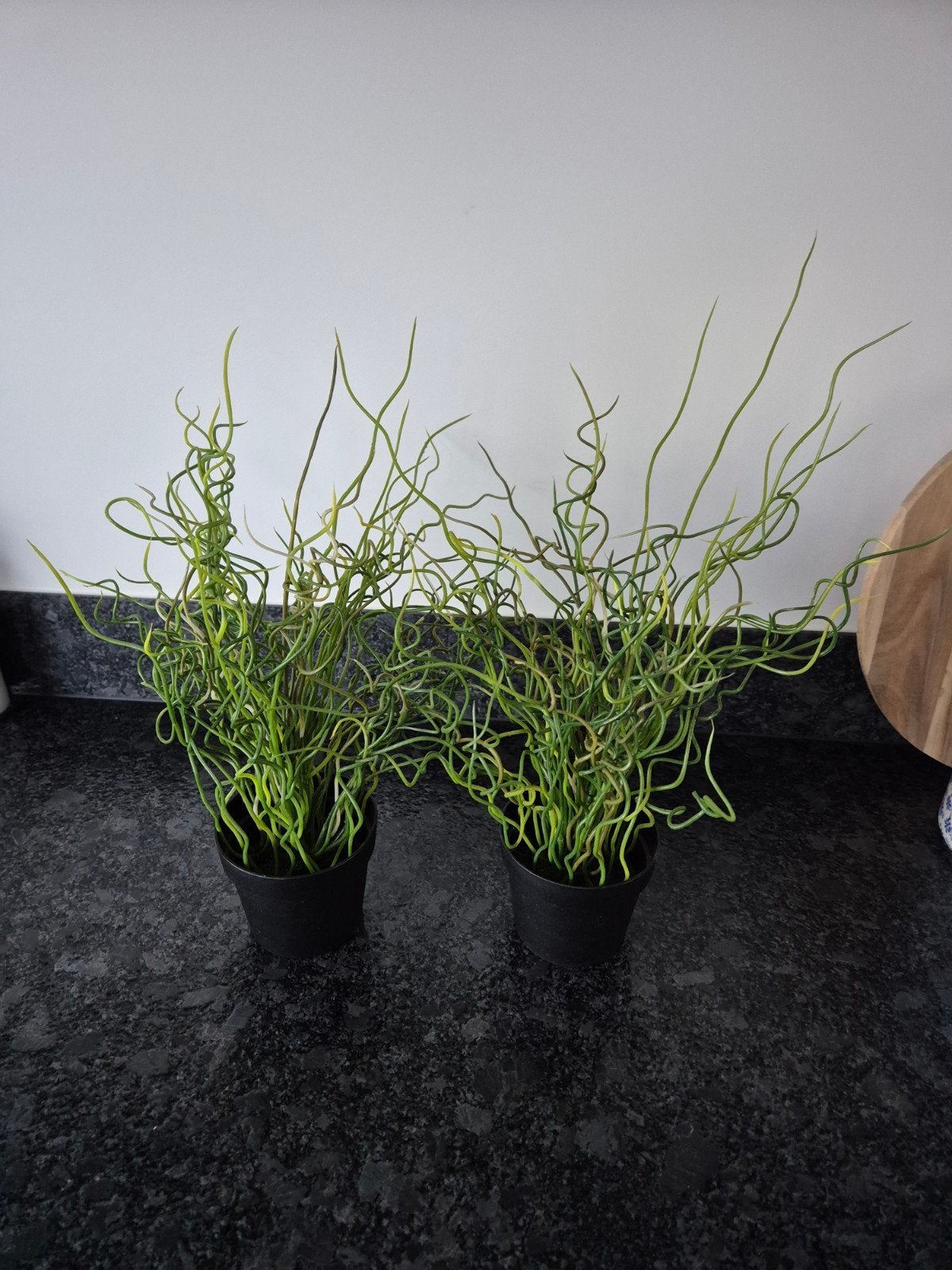 IKEA  - Kunstplantjes 2 stuks, Ophalen of Verzenden
