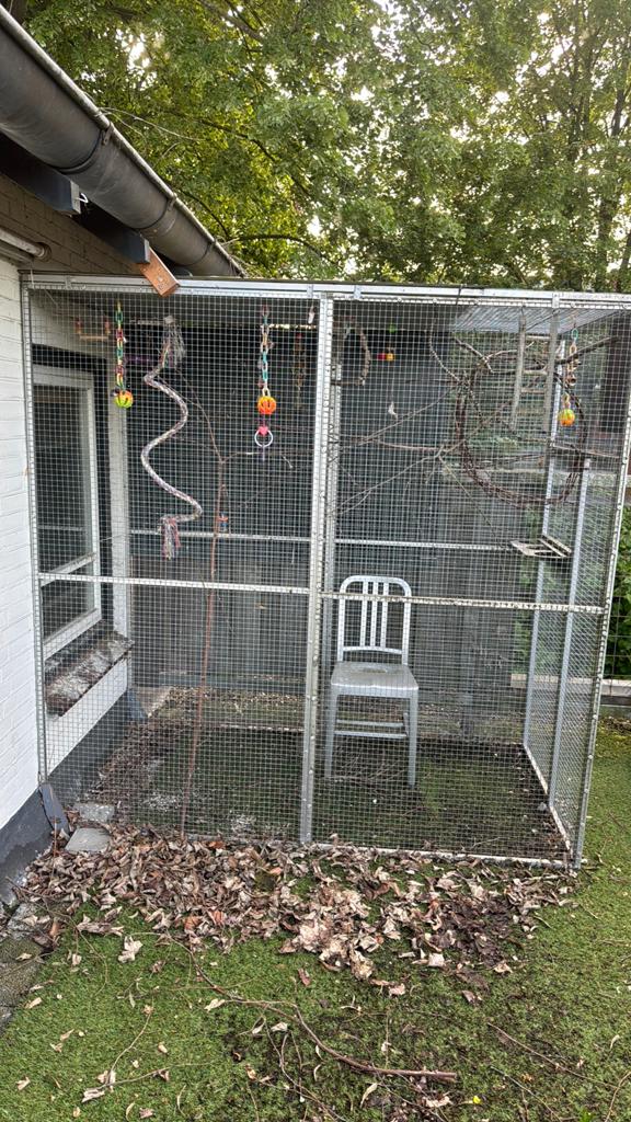 Deugdelijke voliere +\- 2m lang en hoog 1m breed, Ophalen, Gebruikt, Aluminium, Volière