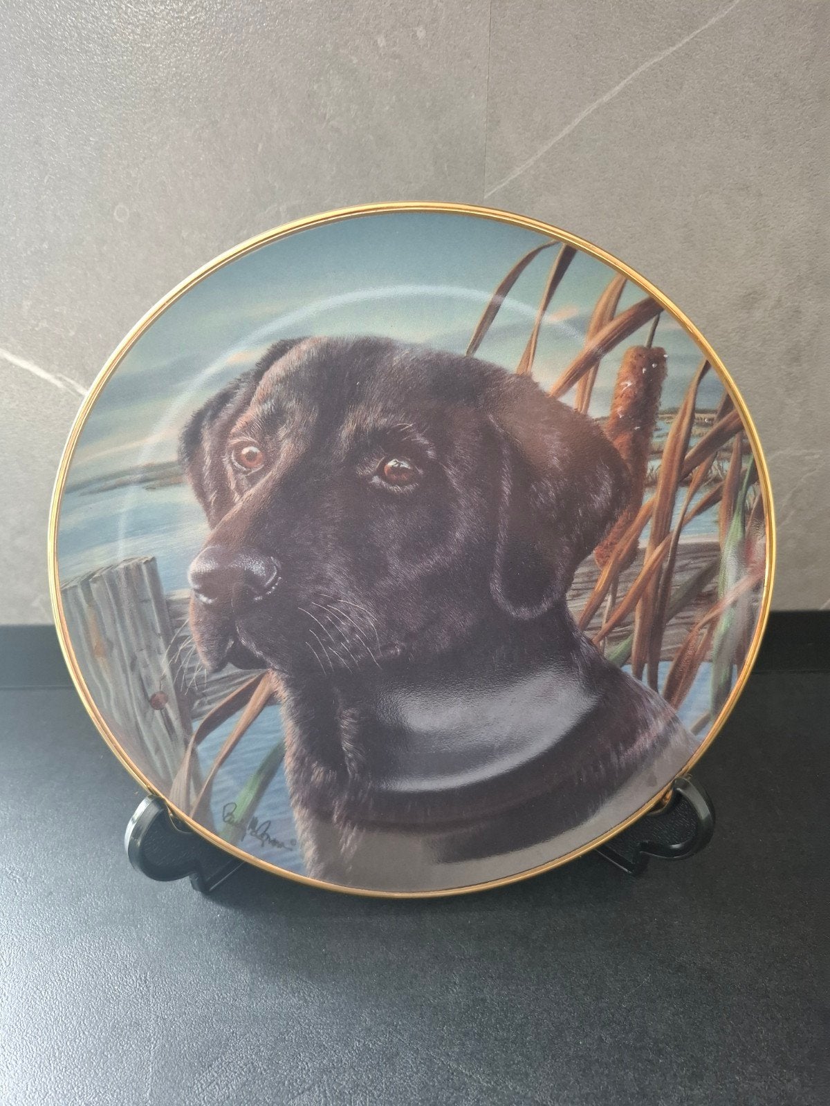 Decoratief bord met Labrador Retriever - 20 cm diameter, Ophalen of Verzenden