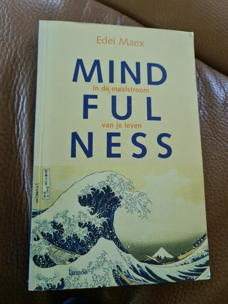 Mindfulness: In de maalstroom van je leven - Edel Maex, Boeken, Ophalen of Verzenden, Zo goed als nieuw