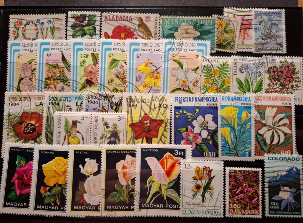 Kaartje bloemen, Ophalen of Verzenden, Dier of Natuur