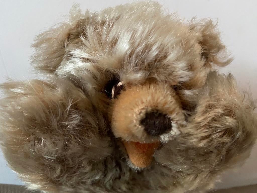 Steiff Floppy Zotty, 5507/17, Ophalen of Verzenden, Zo goed als nieuw