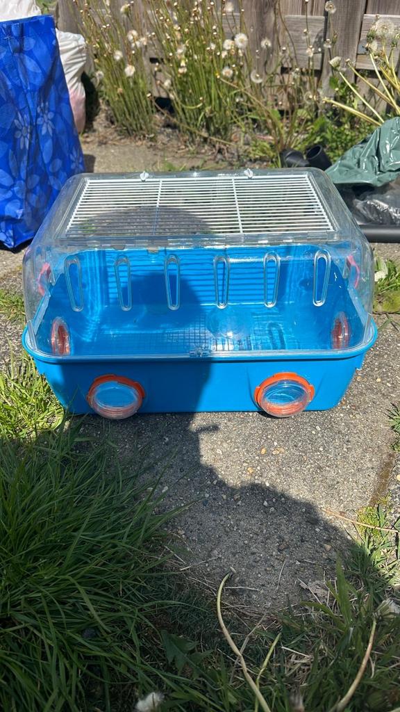 Hamster/dwerghamsterkooi, Dieren en Toebehoren, Ophalen