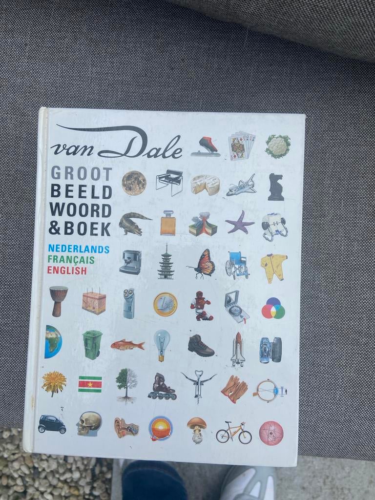 Van Dale groot beeld woordenboek, Boeken, Woordenboeken, Ophalen of Verzenden, Gelezen, Van Dale, Nederlands