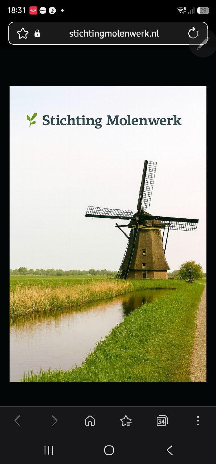 ter overname stichting molenwerk, Overige niveaus, Starter, Overige vormen