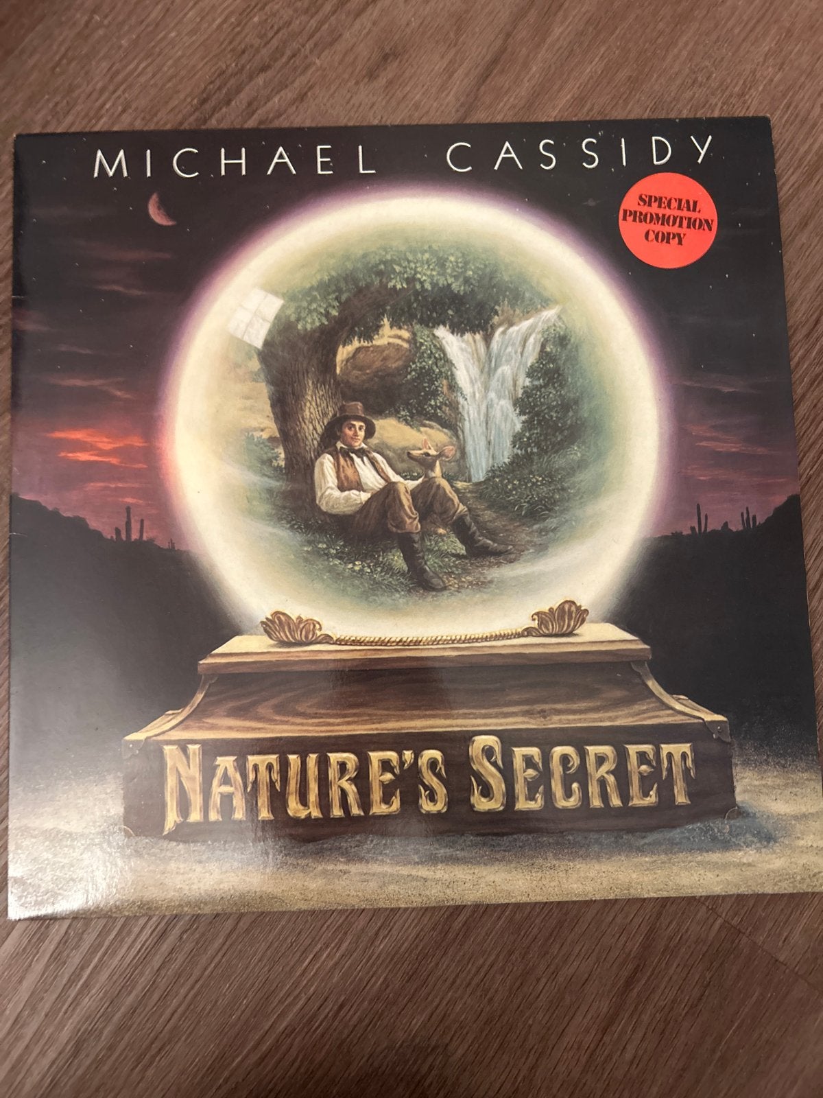 Michael Cassidy - Nature's Secret LP (Special Promotion Copy, LP, Gebruikt, Originele persing, Ophalen of Verzenden
