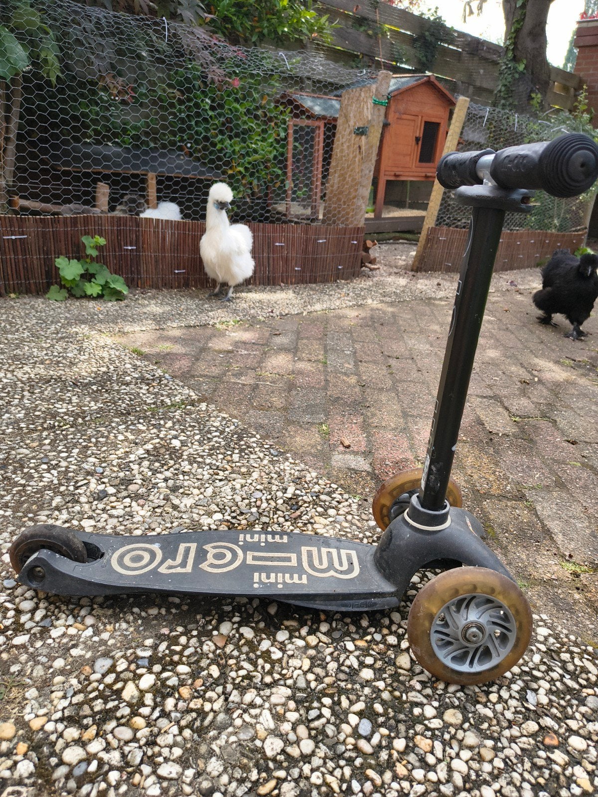 Micro mini step zwart, Fietsen en Brommers, Steps, Ophalen of Verzenden, Gebruikt, Gewone step