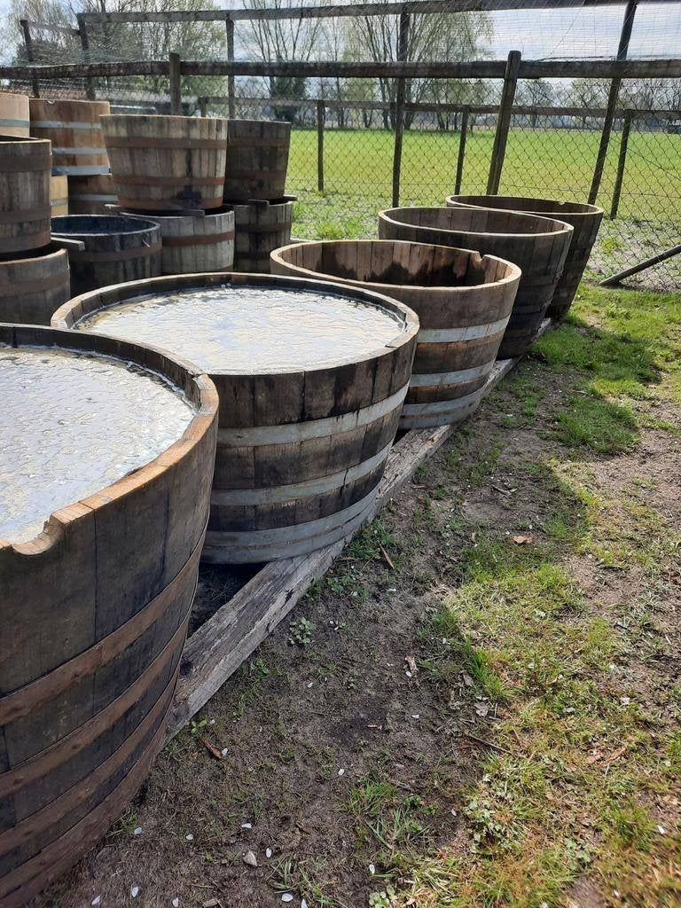 GROTE houten kuipen bloembakken dompelbad olijfboom palmboom, Tuin en Terras, Bloembakken en Plantenbakken, Ophalen, Rond, Nieuw