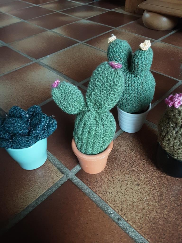 Gehaakte cactussen met potje 4 euro per stuk, Ophalen of Verzenden, Nieuw