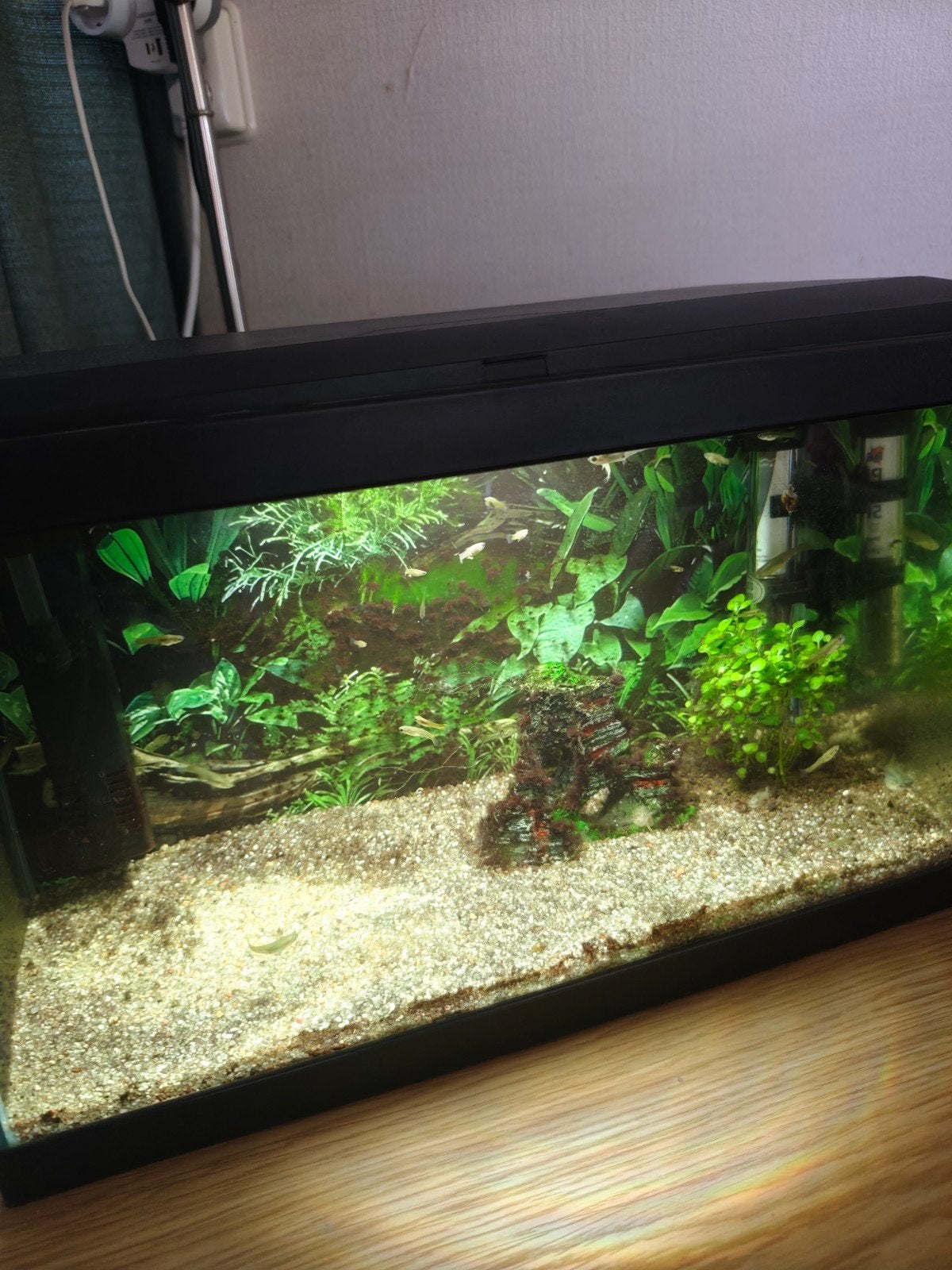 klein aquarium, Dieren en Toebehoren, Vissen | Aquaria en Toebehoren, Ophalen, Leeg aquarium