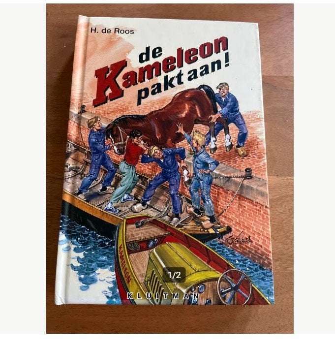 H. de Roos-De Kameleon pakt aan!, Ophalen of Verzenden, Zo goed als nieuw, Fictie algemeen