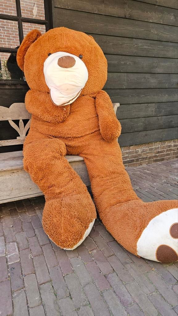 Grote knuffelbeer van *2,5 meter* lang!, Ophalen of Verzenden, Gebruikt, Overige typen