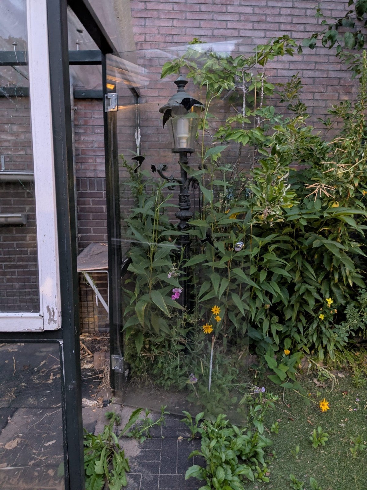 Kas gratis af te halen zelf demonteren, Tuin en Terras, Ophalen, Overige materialen, Gebruikt, Muurkas