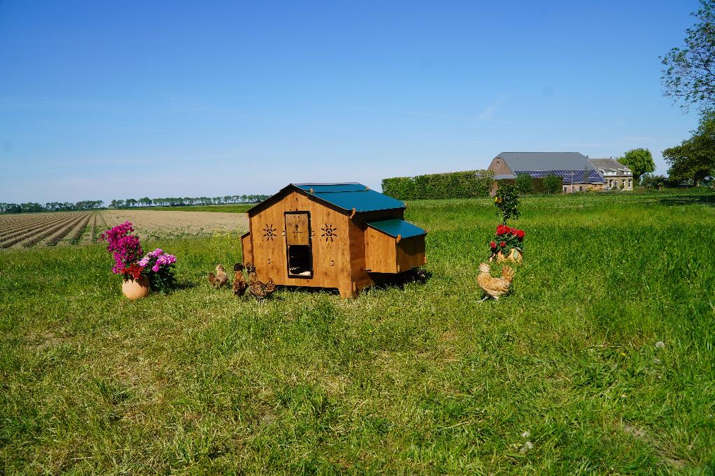 Trespa Kippenhok Cucciolotta | Chalet 4XL