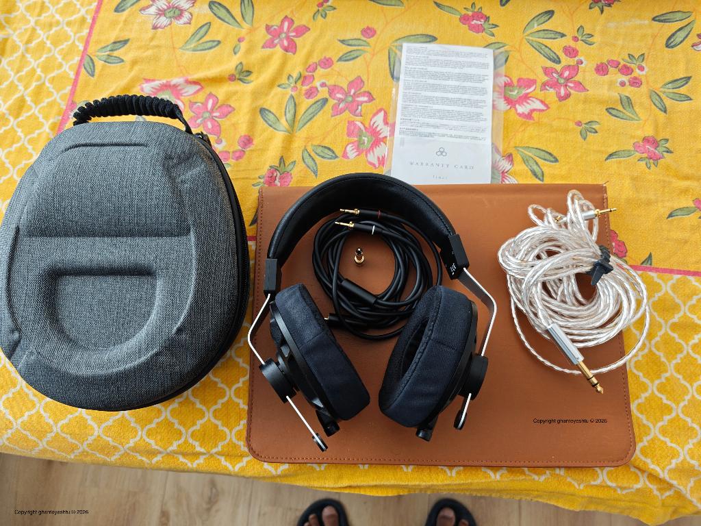 Final Audio D8000 Pro Hifi closed back headphone koptelefoon, Audio, Tv en Foto, Koptelefoons, Overige merken, Gebruikt, Surround
