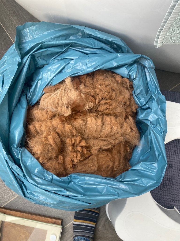 Alpaca wol van onze Finn, 2,6 kilo, de wol is van dit jaar, Hobby en Vrije tijd, Ophalen of Verzenden, Nieuw, Spinwol