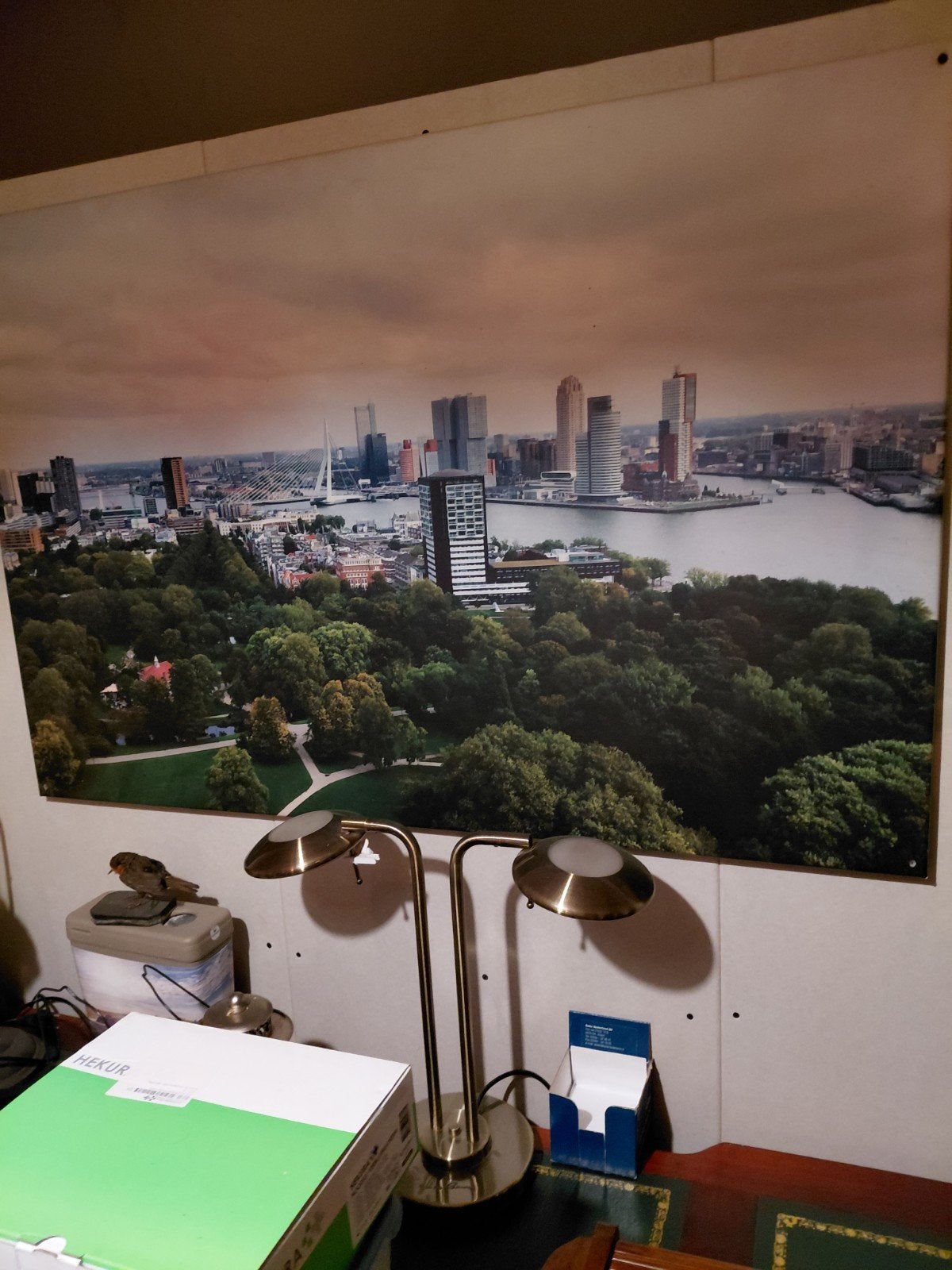 Grote foto/poster van Rotterdam skyline, Gebruikt, Ophalen of Verzenden, 100 tot 125 cm, Foto of Poster