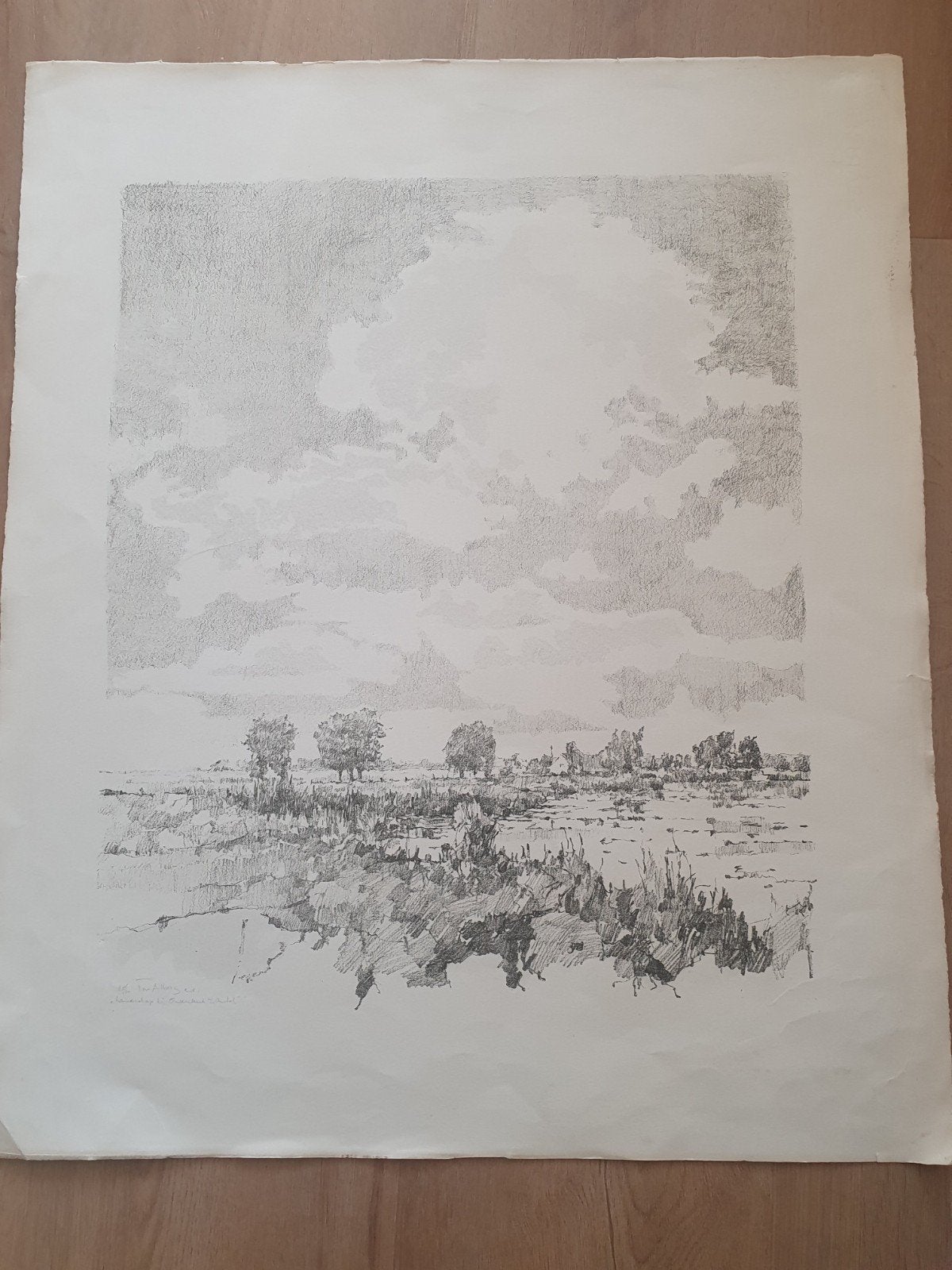 Litho Ton Albers Landschap bij Ouderkerk (Eigen druk), Antiek en Kunst, Ophalen