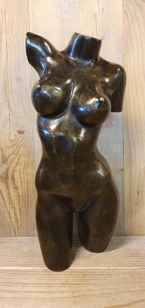 TORSO / MAN/ VROUW / Bronzen beeld, Antiek en Kunst, Kunst | Beelden en Houtsnijwerken, Ophalen of Verzenden, Brons
