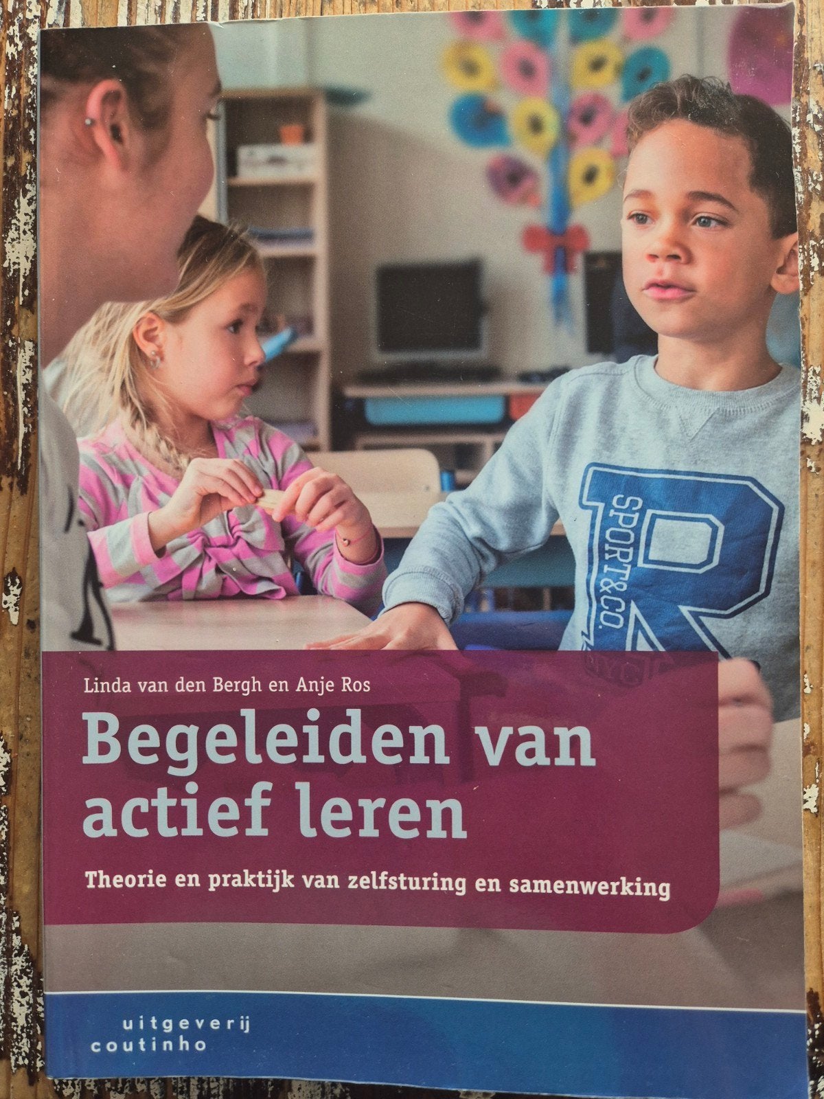 Linda van den Bergh - Begeleiden van actief leren, Boeken, Linda van den Bergh; Anje Ros, Sociale wetenschap, Ophalen of Verzenden