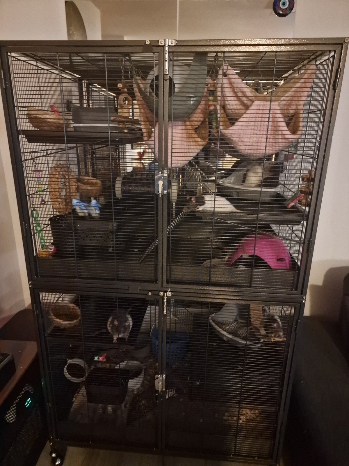 dubbele rattenkooi L 93,5 x B 63 x H 157,8 cm ( nieuw ), Dieren en Toebehoren, Ophalen, Nieuw, 90 cm of meer, Rat