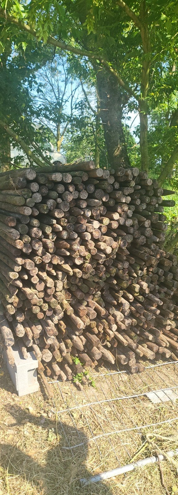 Grote partij gebruikte houten palen, Tuin en Terras, Palen, Balken en Planken, Ophalen of Verzenden, Gebruikt, 250 cm of meer