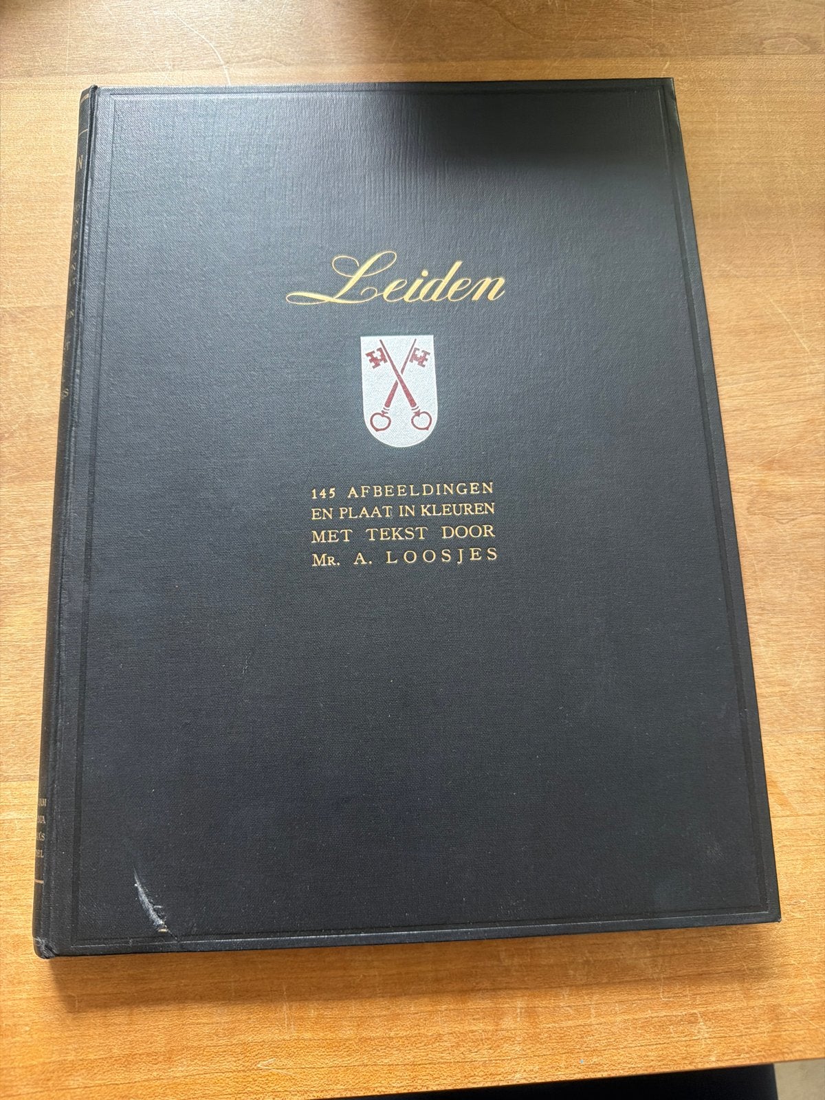 Leiden - 145 Afbeeldingen en Plaat in Kleuren - Mr. A. Loosj, Ophalen of Verzenden, Gelezen, Catalogus