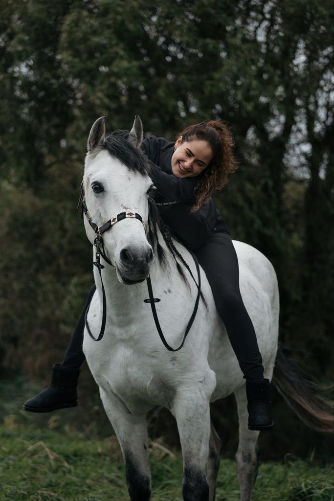 Leukste allrounder cruzado, Ruin, Recreatiepaard