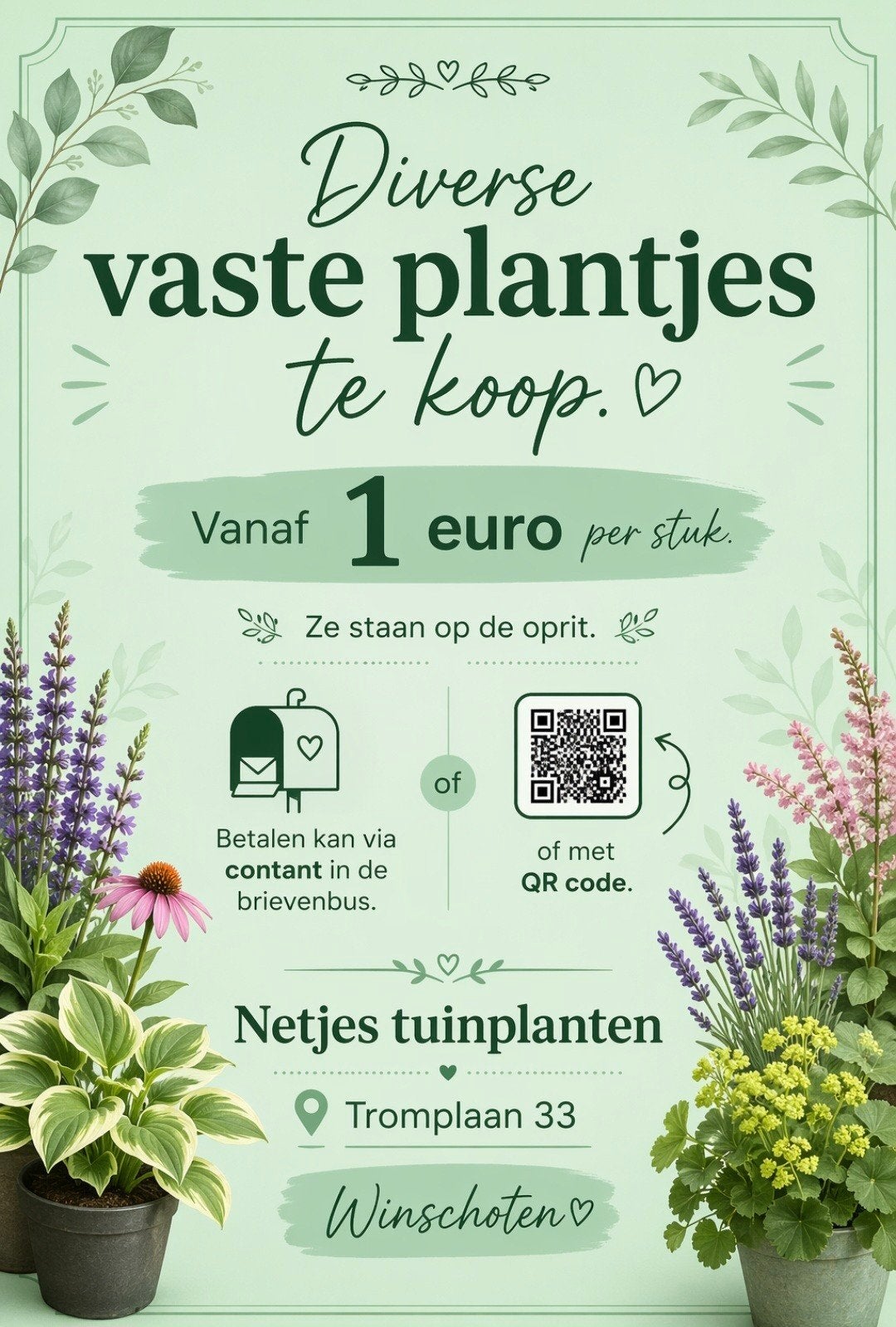 Diverse vaste plantjes te koop - Vanaf 1 euro per stuk, Ophalen