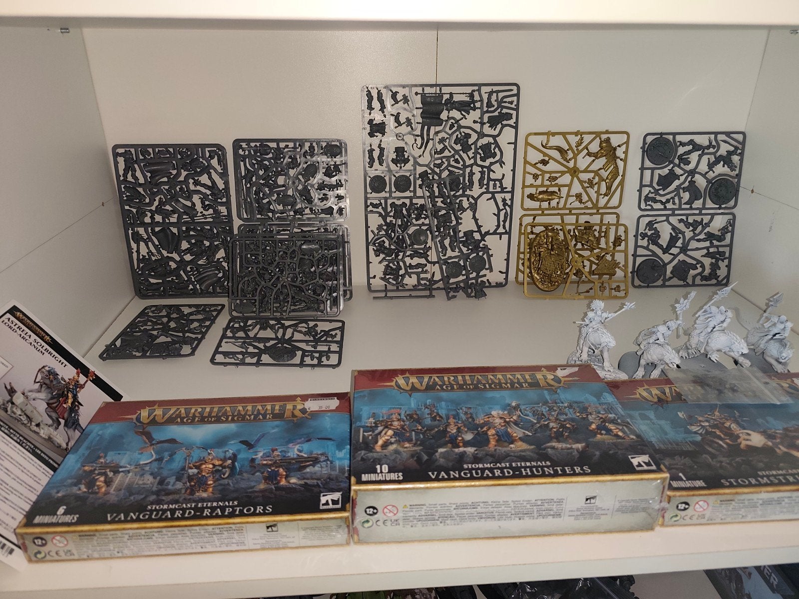 Warhammer Age of Sigmar Aos Stormcast Eternals, Hobby en Vrije tijd, Wargaming, Ophalen of Verzenden, Gebruikt, Warhammer, Figuurtje(s)