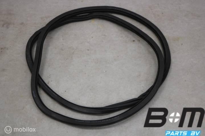 Portierrubber rechtsachter VW Tiguan 5NA 5NA867914B, Gebruikt