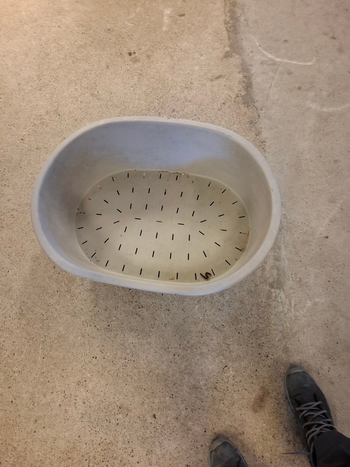 mooie hondenman, Dieren en Toebehoren, Ophalen of Verzenden